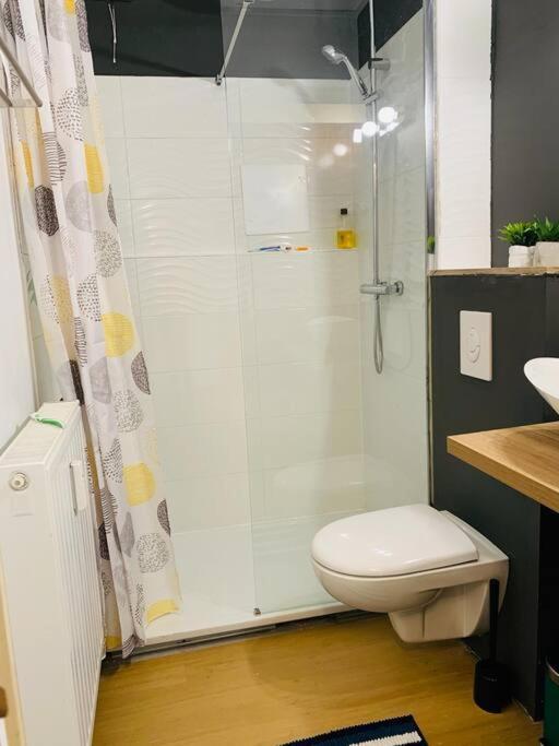Appartement Tres Proche Mediacite - Centre Ville 리에주 외부 사진